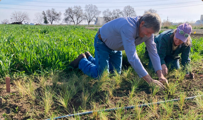 Non-Governmental Organizations