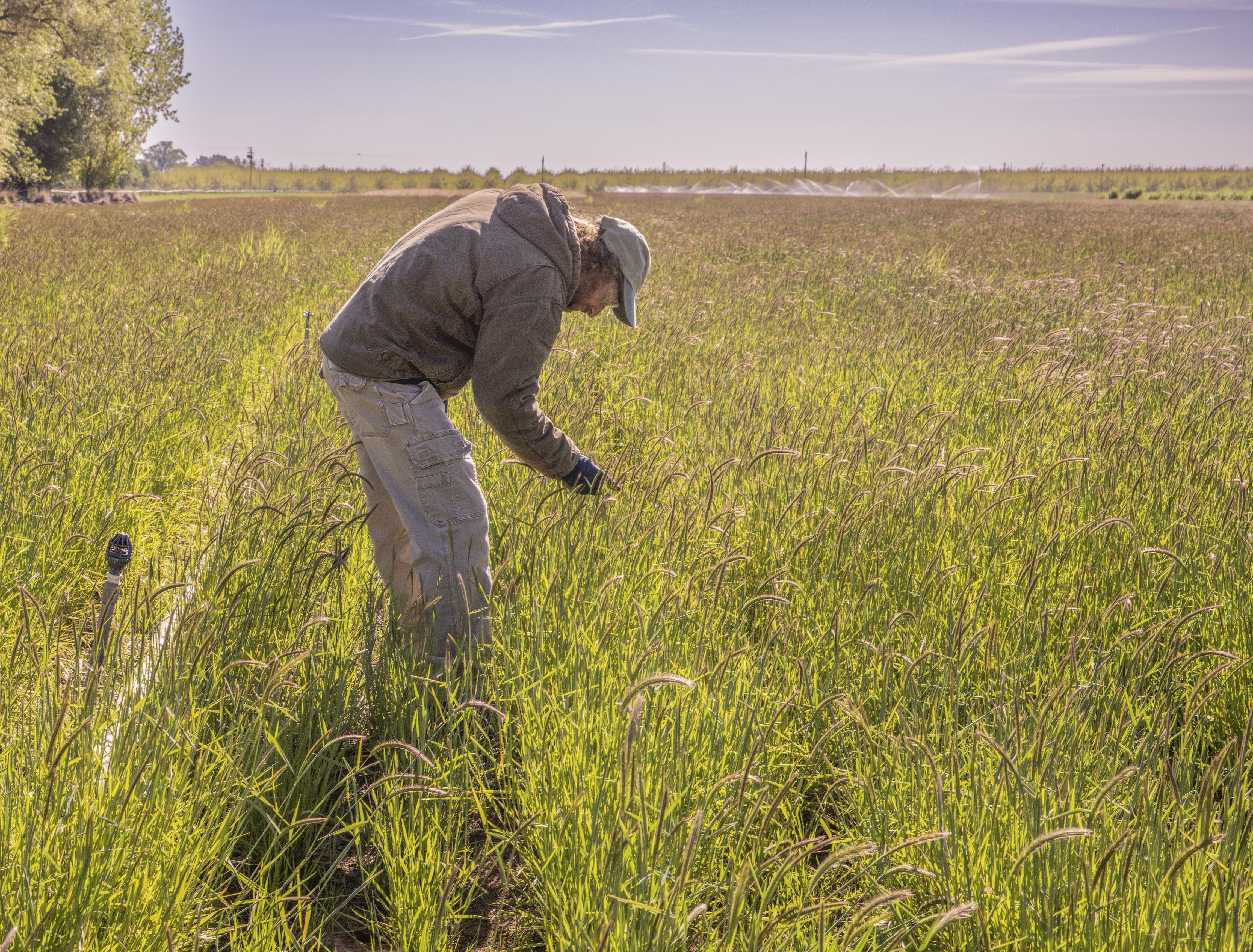 Ranchers and Small Landowners