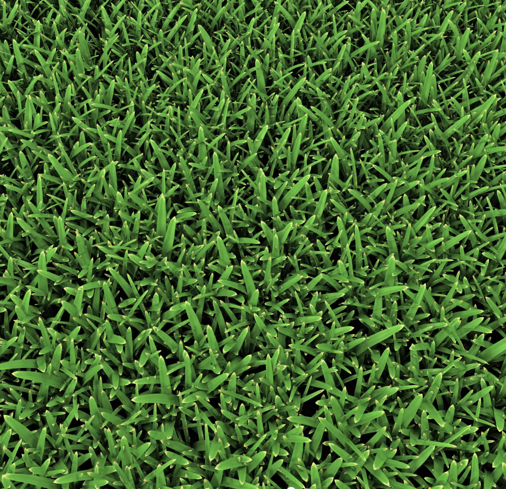 Contractor Turf Mixture