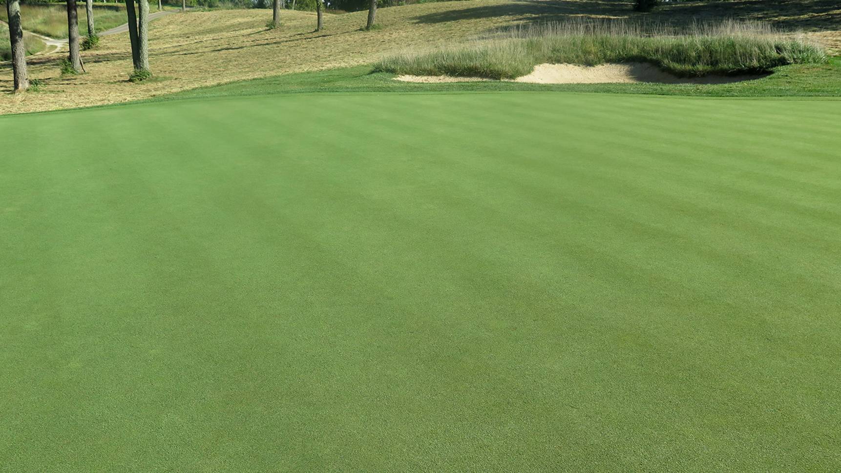 E Z Green Plus Mixture