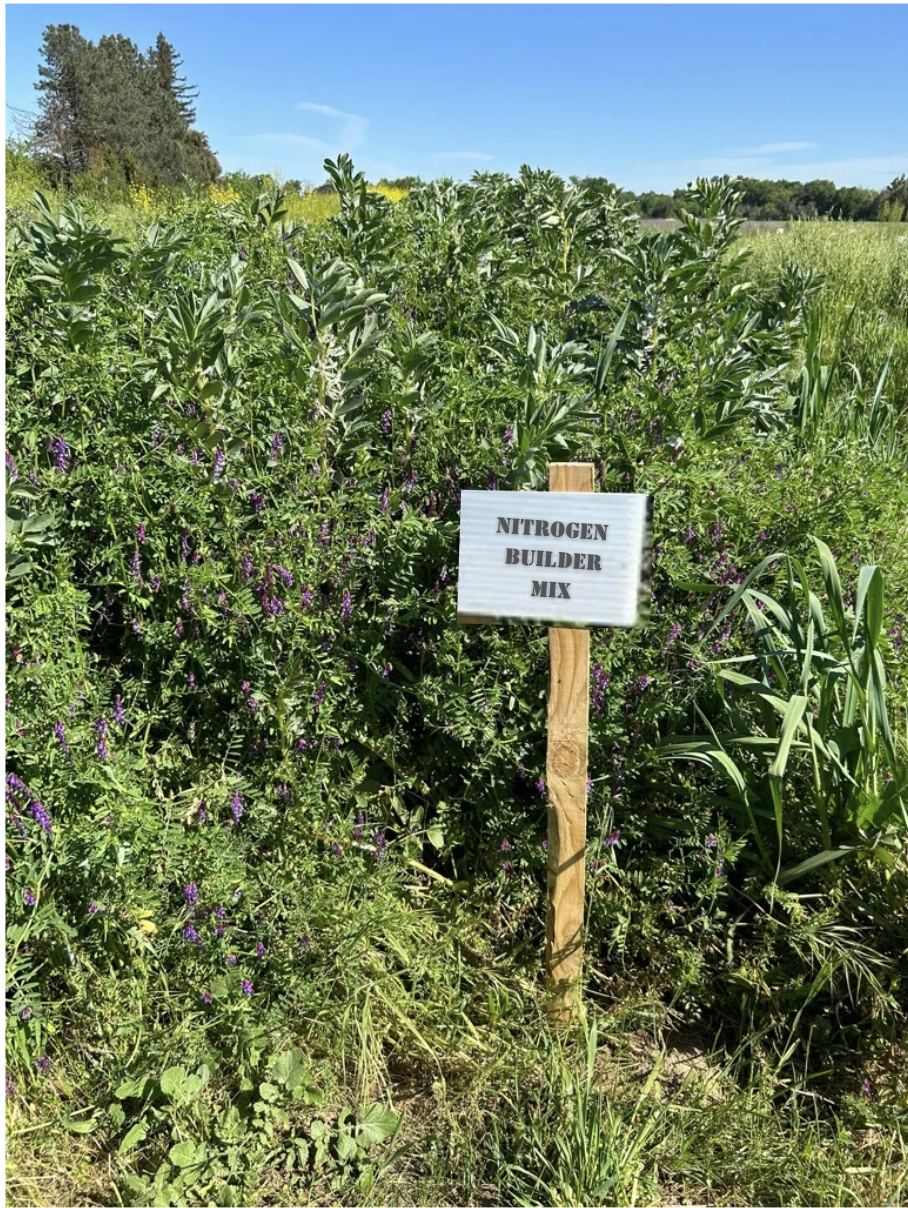 Nitrogen Builder Cover Crop Mix