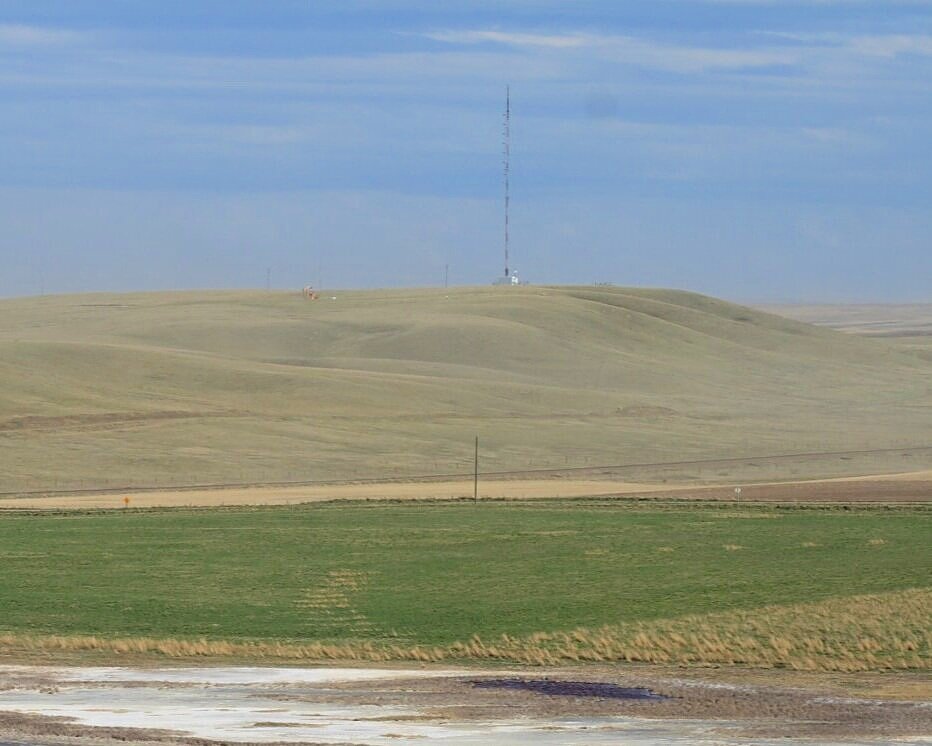 Alkaline Hay & Pasture Blend