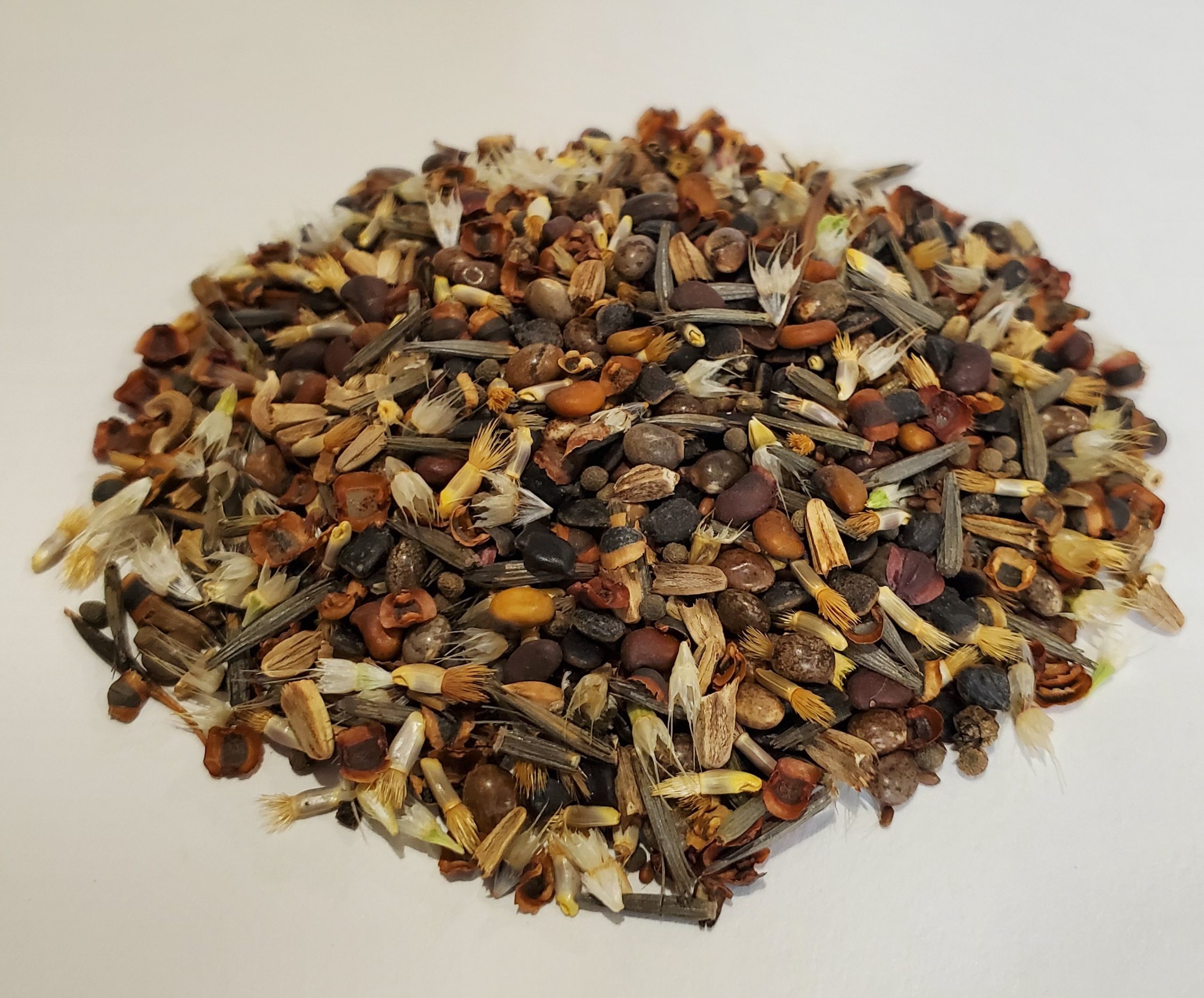 Pollinator Wildflower Mix