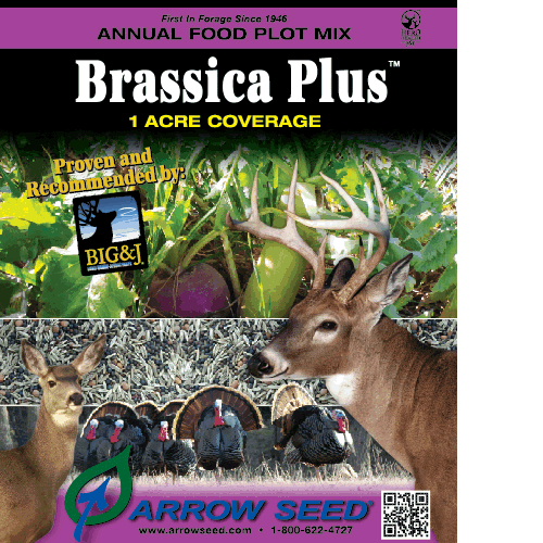 Brassica Plus Food Plot Mix