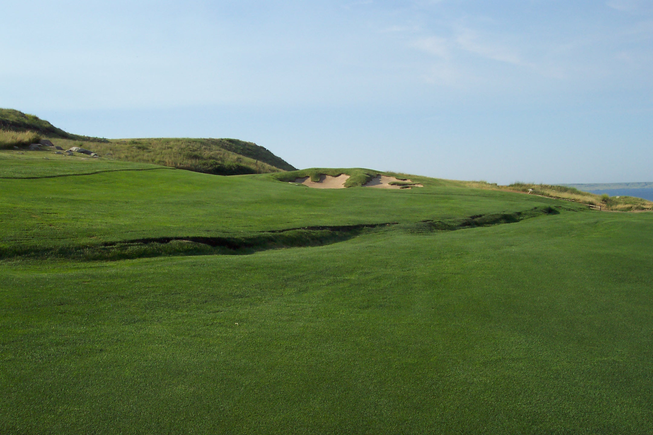 Fairways Blues Kentucky Bluegrass Blend