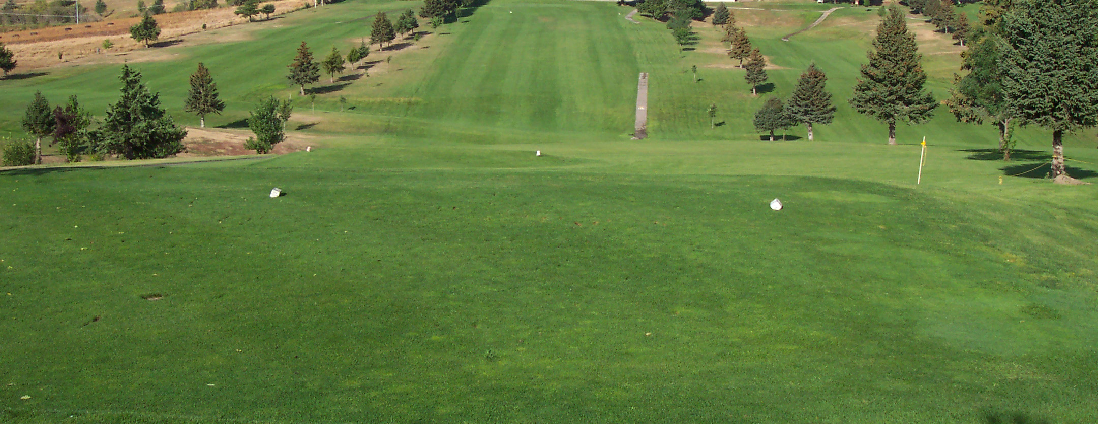 EZ GREEN GLSR Perennial Ryegrass Blend