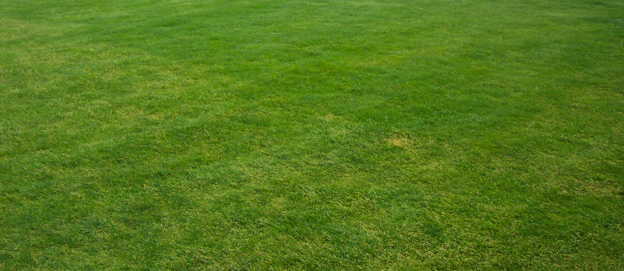 All Purpose Turf Mixture