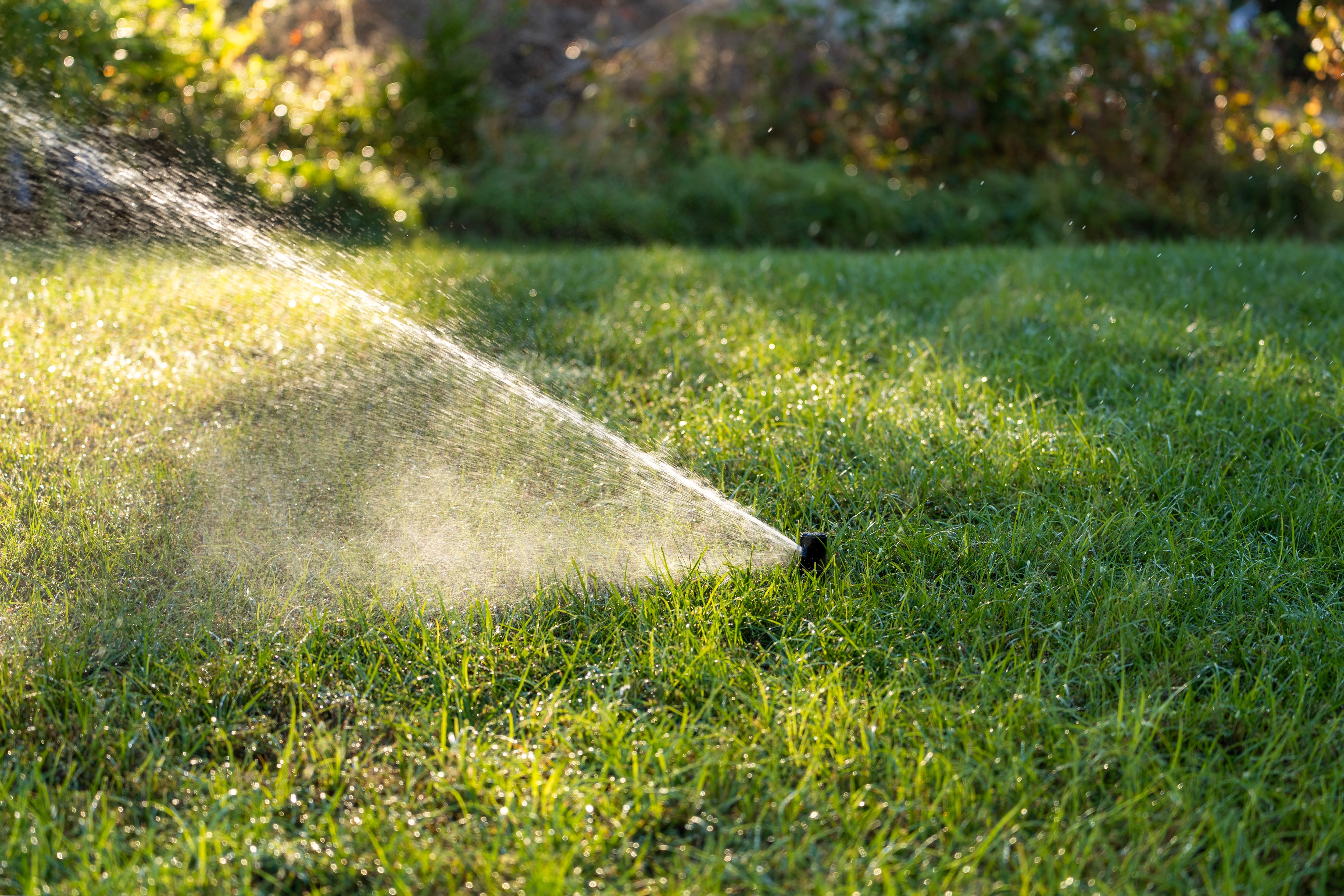 Tuff N Nuff Turf Mixture