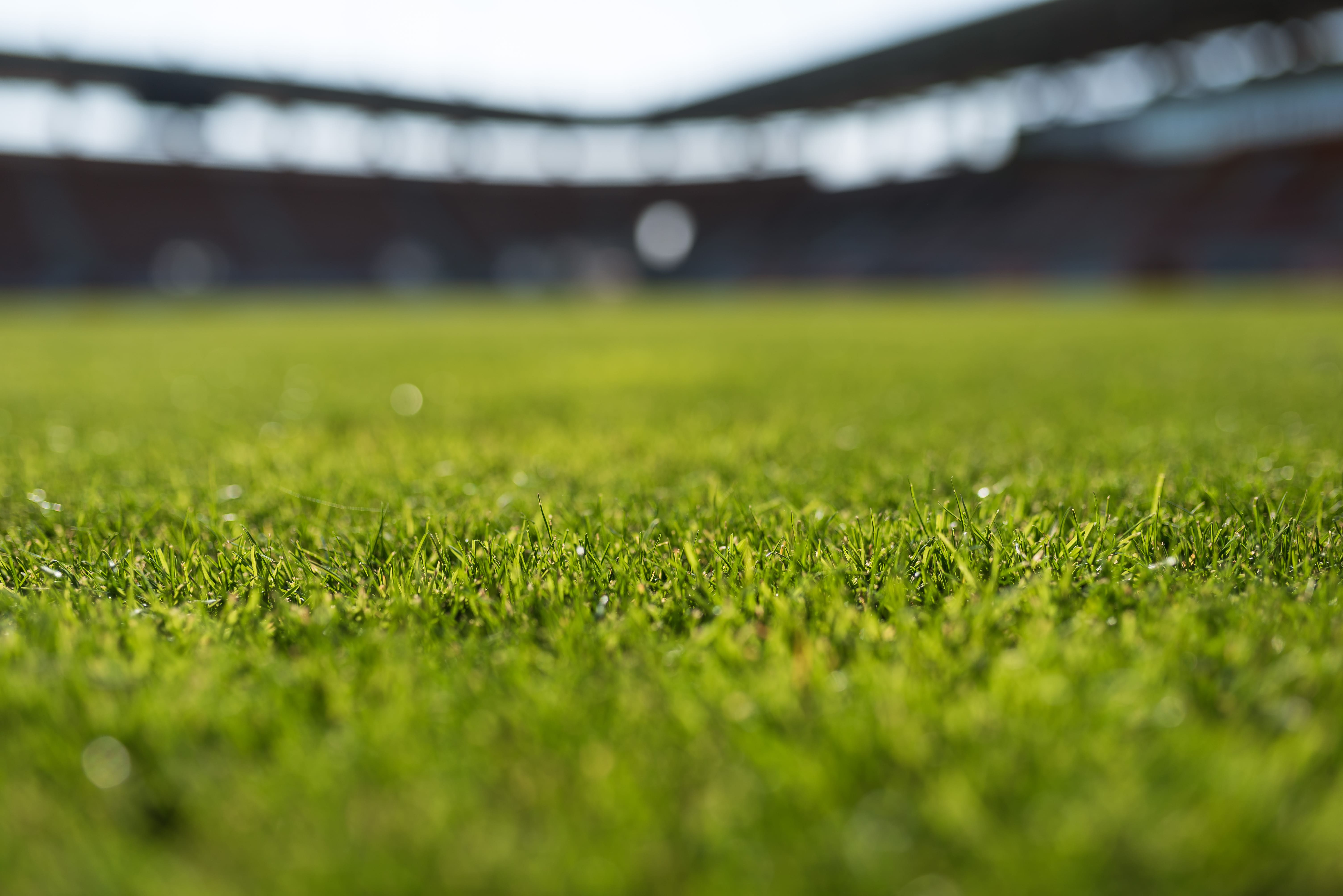 Sports Park Turf 