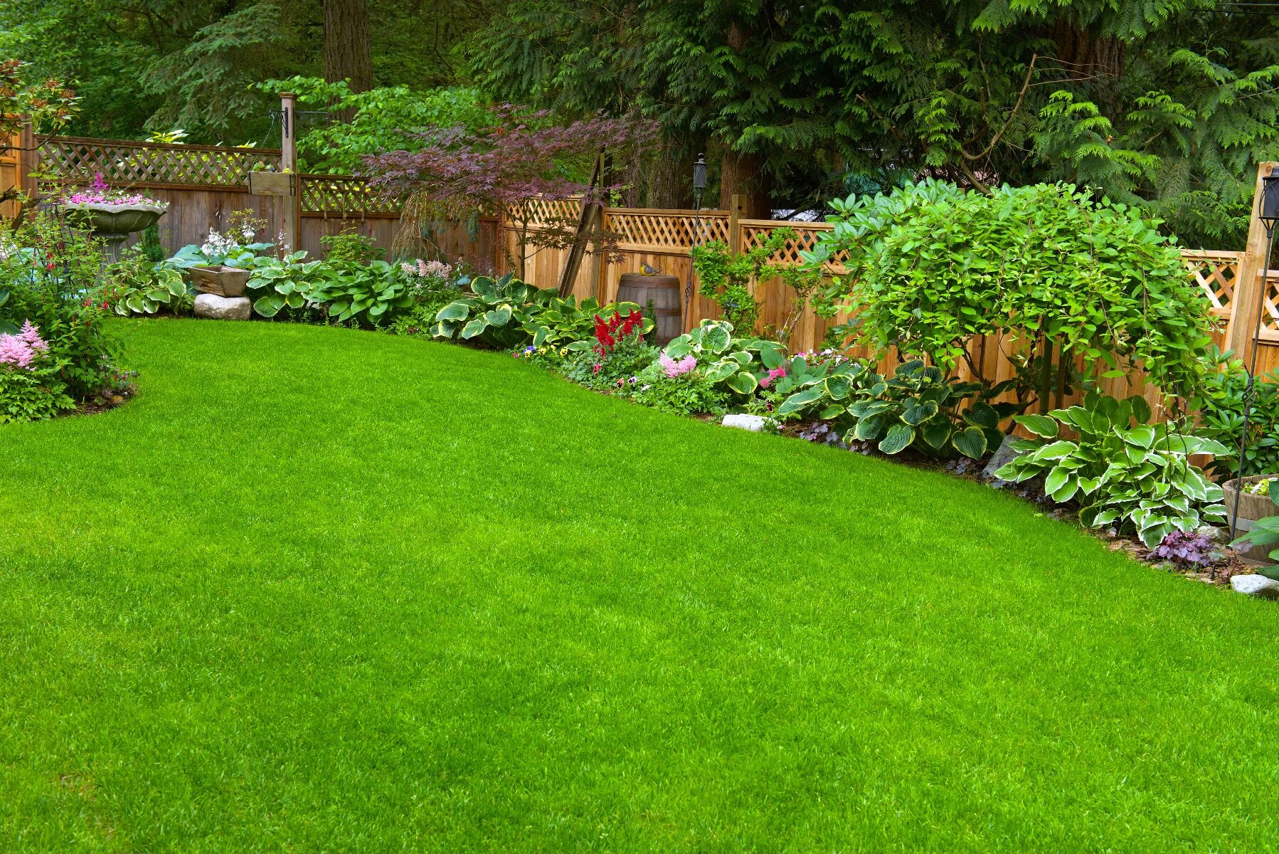 Northwest Turf Blend